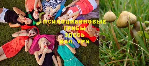 соль ск Алексеевка