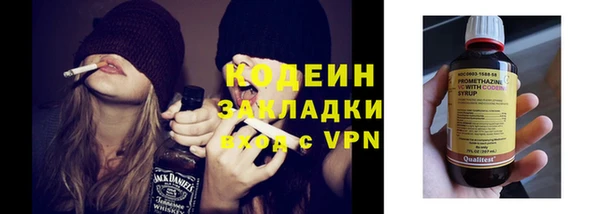 хмурый Алзамай