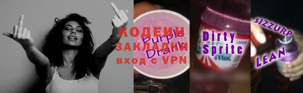 хмурый Алзамай