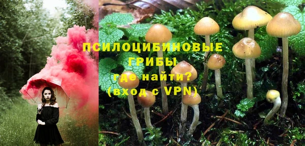 хмурый Алзамай