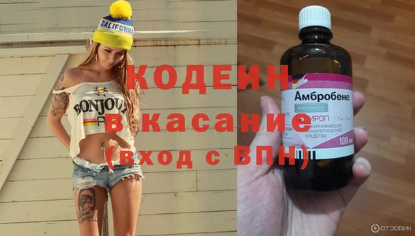 хмурый Алзамай